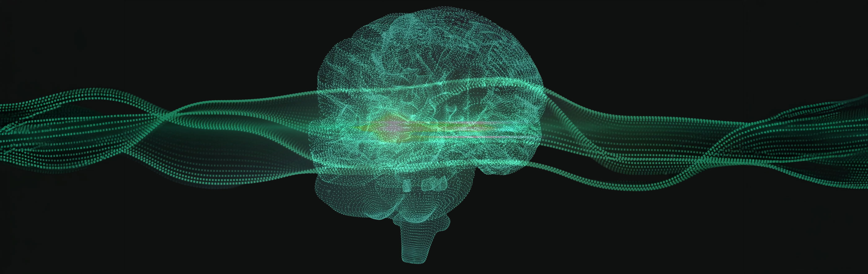 Human brain